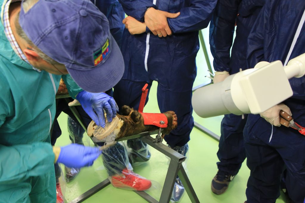 Część praktyczna szkolenia w Uniwersyteckim Centrum Medycyny Weterynaryjnej