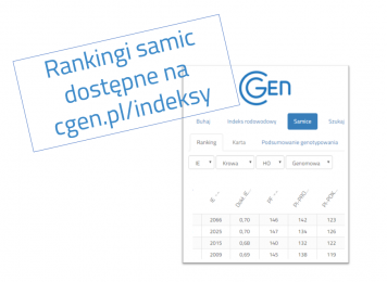 Rankingi najlepszych samic i stad opublikowane