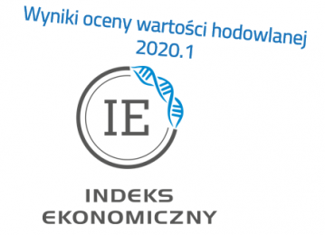 Indeks ekonomiczny