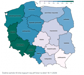 Sprawdź wartości IE oraz indeksów rodowodowych w swoim województwie