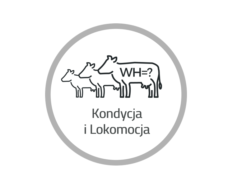 Karty samic uzupełnione o kondycję i lokomocję