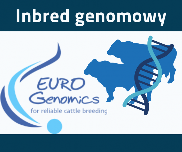 Inbred genomowy dokładniejszy od rodowodowego