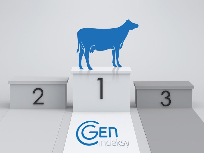 Krowy i jałówki z kwietniowymi wynikami oceny wartości hodowlanej
