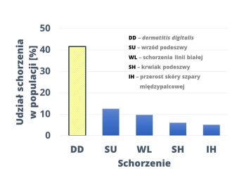 Hodowco, pozostało 8 dni do publikacji oceny dla DD