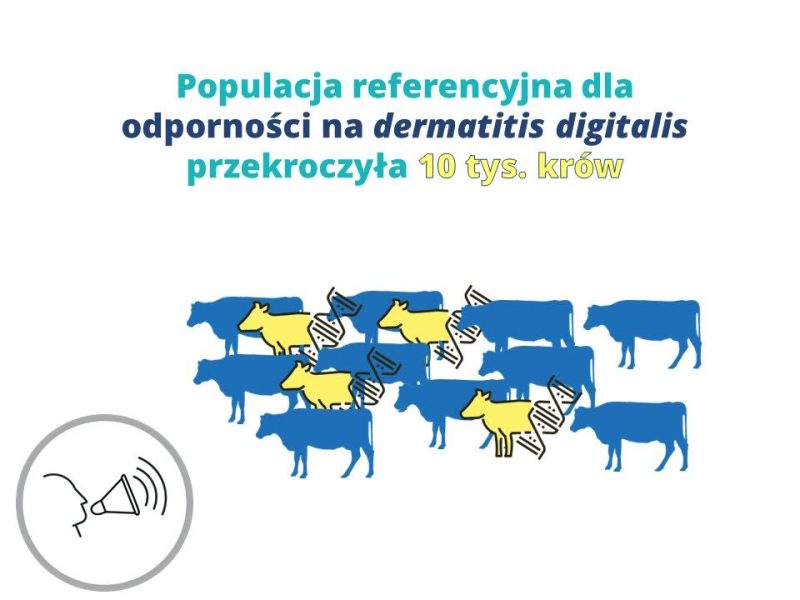Hodowco, pozostało 7 dni do publikacji oceny dla DD Hodowco, pozostało 7 dni do publikacji oceny dla DD