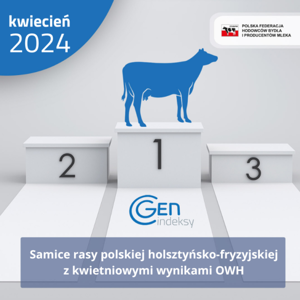 Samice rasy polskiej holsztyńsko-fryzyjskiej z&nbsp;kwietniowymi wynikami OWH