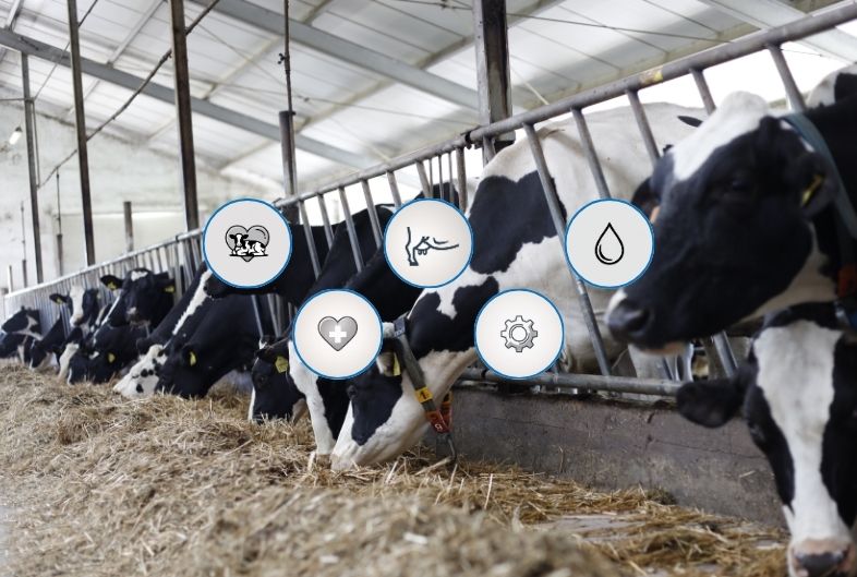 Nowy indeks PF zmieni przyszłość hodowli