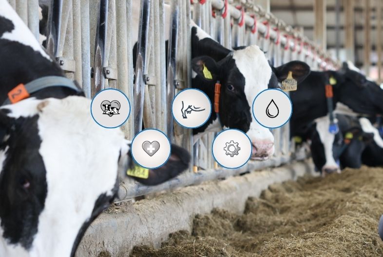 Udostępniliśmy testowe wyniki nowego indeksu PF