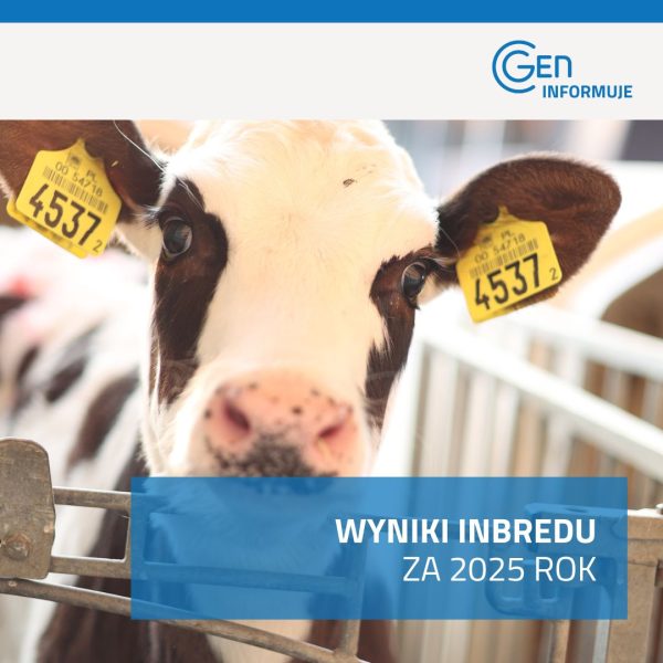 Wyniki inbredu za rok 2025