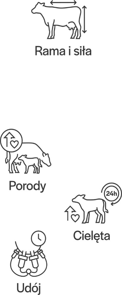 Podindeks funkcjonalności - ikony