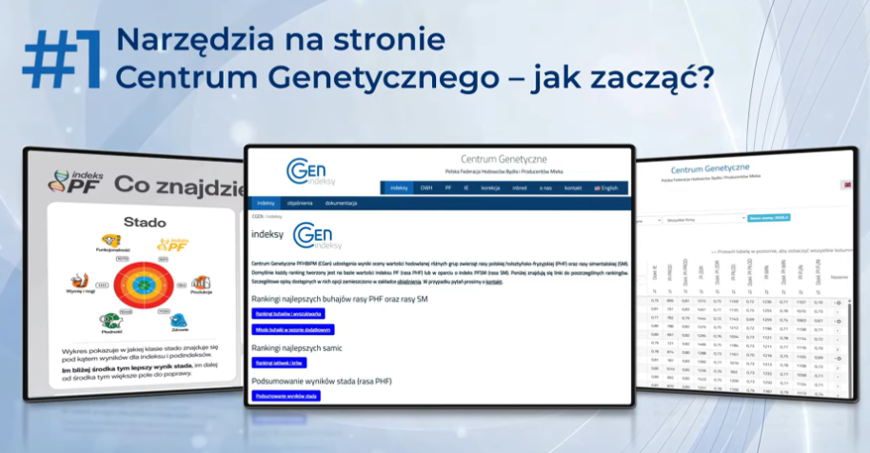 Narzędzia na stronie CGen – jak zacząć?